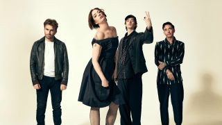 Marmozets against a yellow background