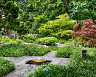 An arboretum garden with Japanese maples, paved pathways and small water feature