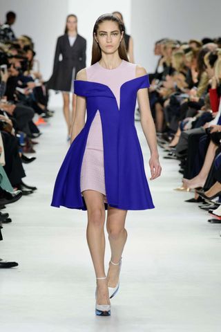 Christian Dior AW14, Paris Fashion Week