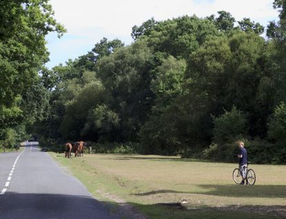 New Forest conservationists 