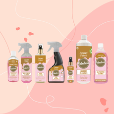 Caramel dates cleaning range on pink background