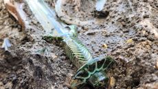 We see a sword with a green handle in the mud.