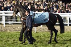 Sprinter-Sacre-6-13-11-16.jpg