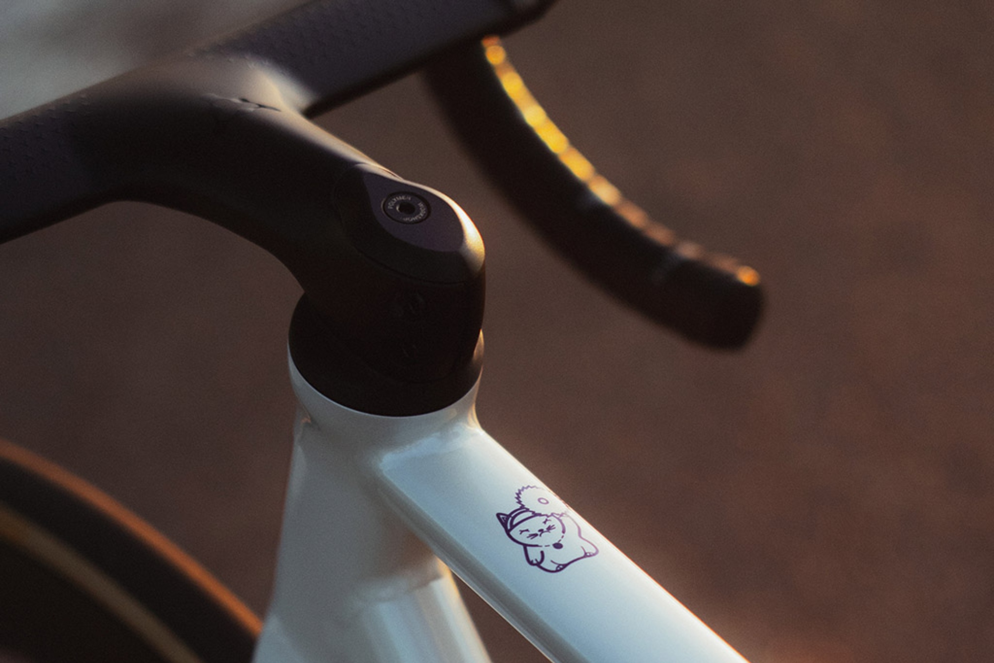 Standert's new version of the Kreissäge RS race frameset.