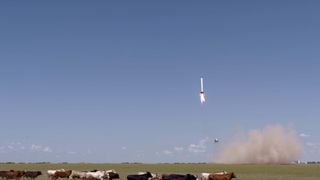 A SpaceX Grasshopper reusable-rocket prototype sends a herd of cows running in this still image from a video of the company's rocket testing site in McGregor, Texas.