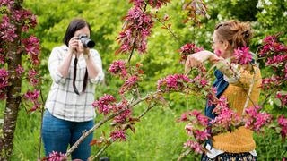 14 tips for flower photography at home