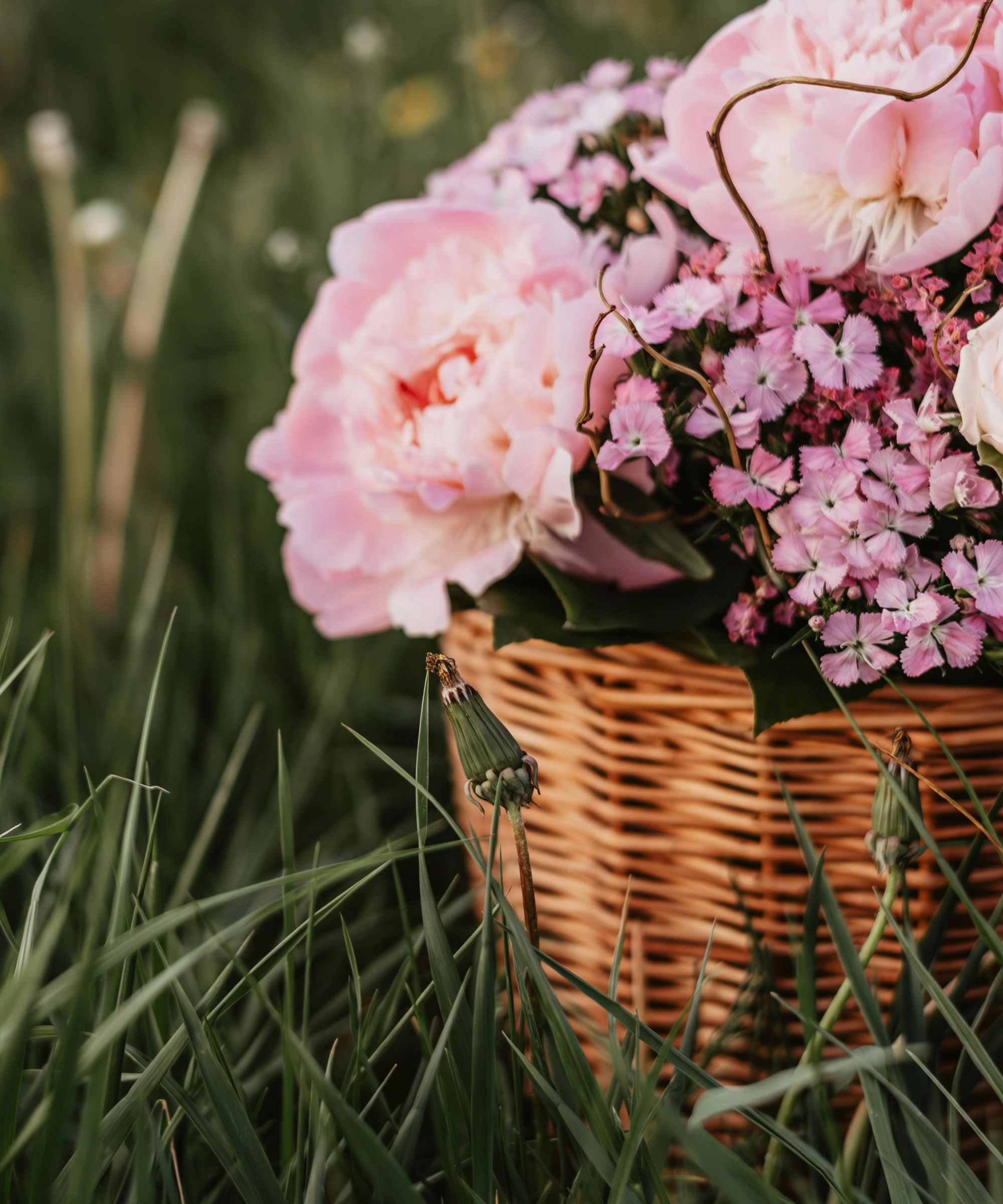 Pink peonies and other pink flowers in a basket on the grass outdoors