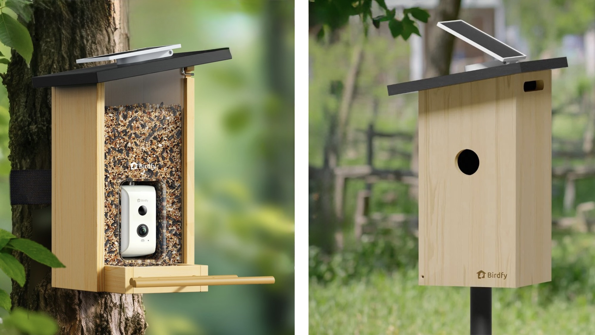 Birdfy feeder and nest