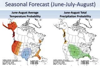 forecast