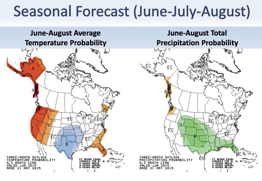 forecast