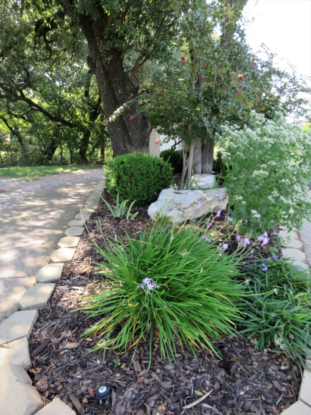 Xeriscape Garden Design With Mulch Rocks And Plants