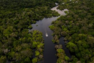 A boat makes its way down the Amazon River surrounded on both sides by tree canopies