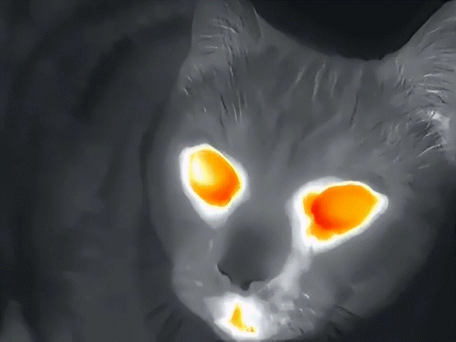 Thermal Master DV2 sample.