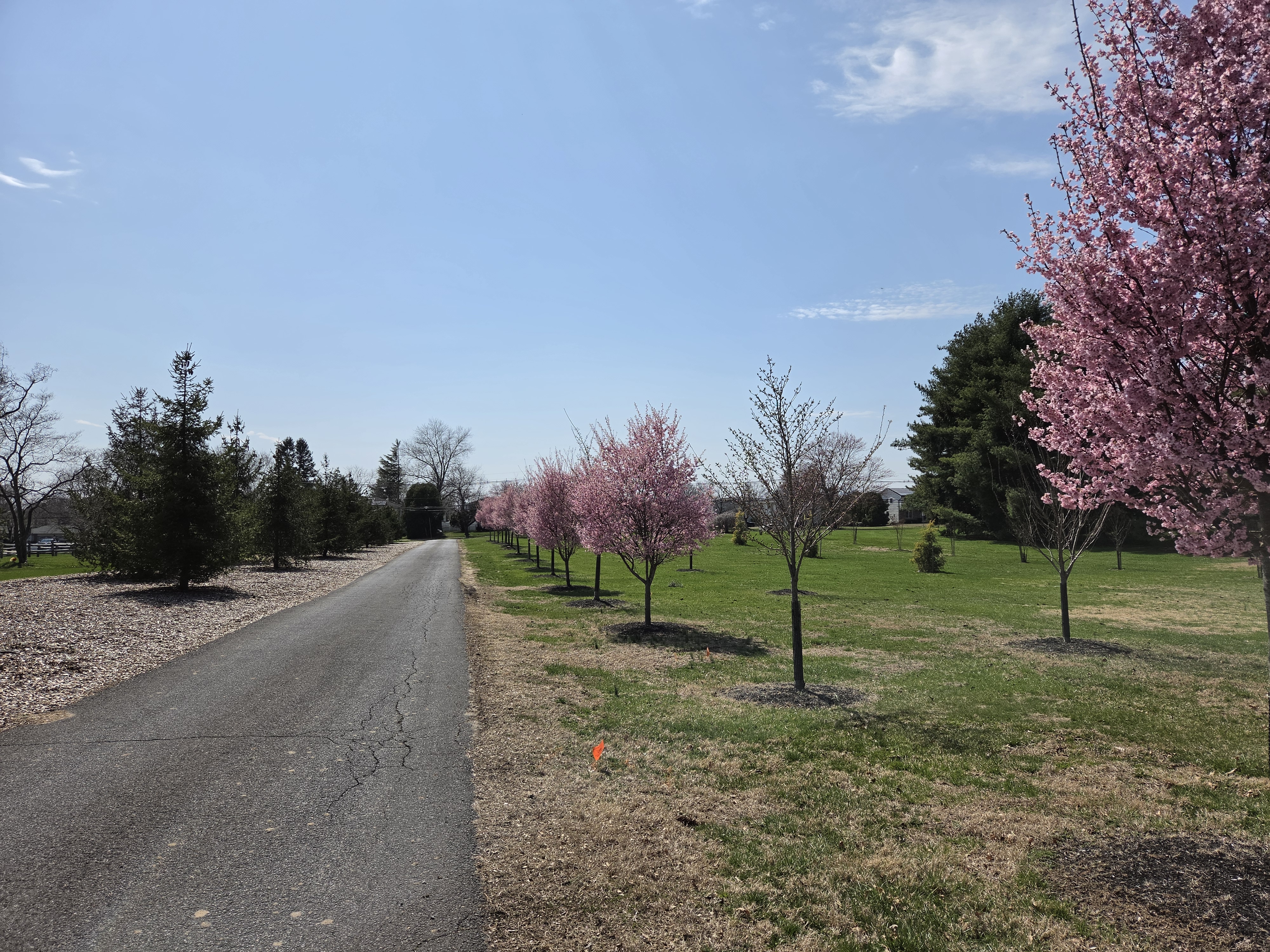 Samsung Galaxy S26 Plus camera samples