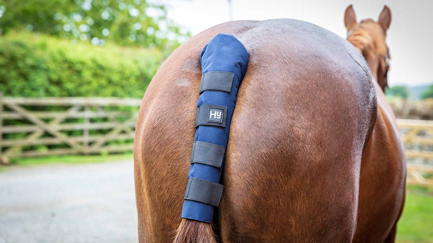 Hy padded tail guard for horses