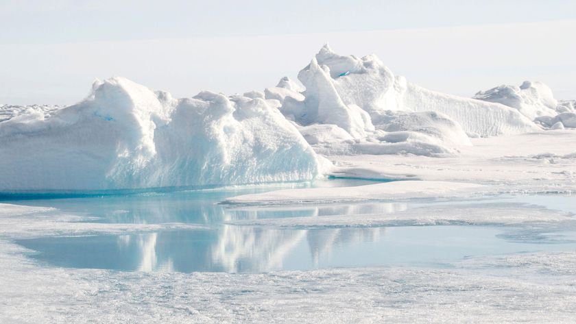 A photograph of ice and meltwater at the North Pole. 