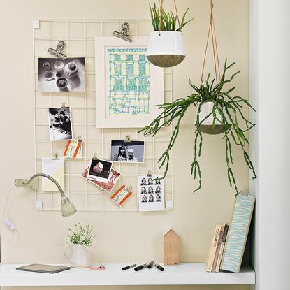 hanging house plants hanging from ceiling above desk in room with cream wall and wire photo board nailed to wall