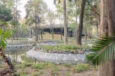 scenic garden in mexico city, greenery and built structure