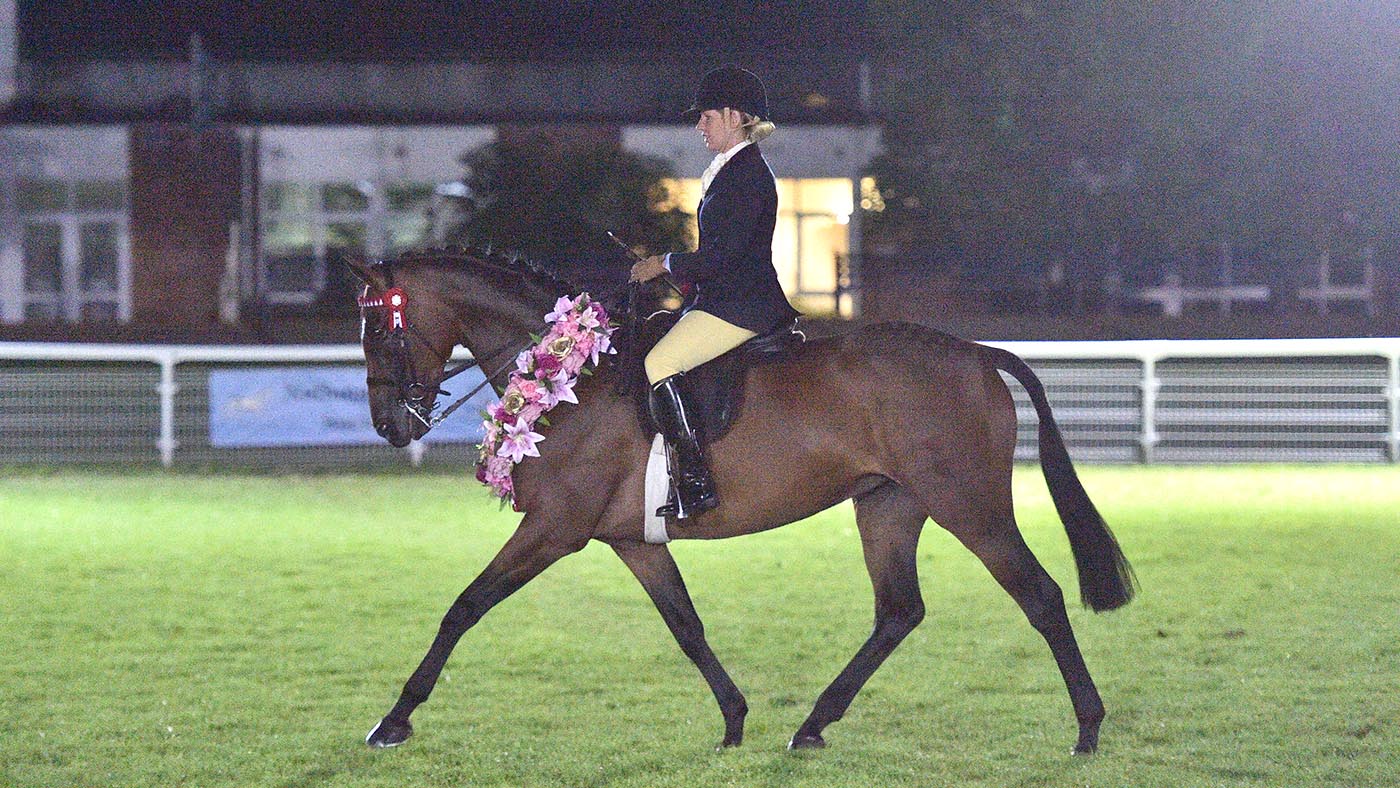Copy of Whalton Razzle Dazzle_FIRST CLASS IMAGES