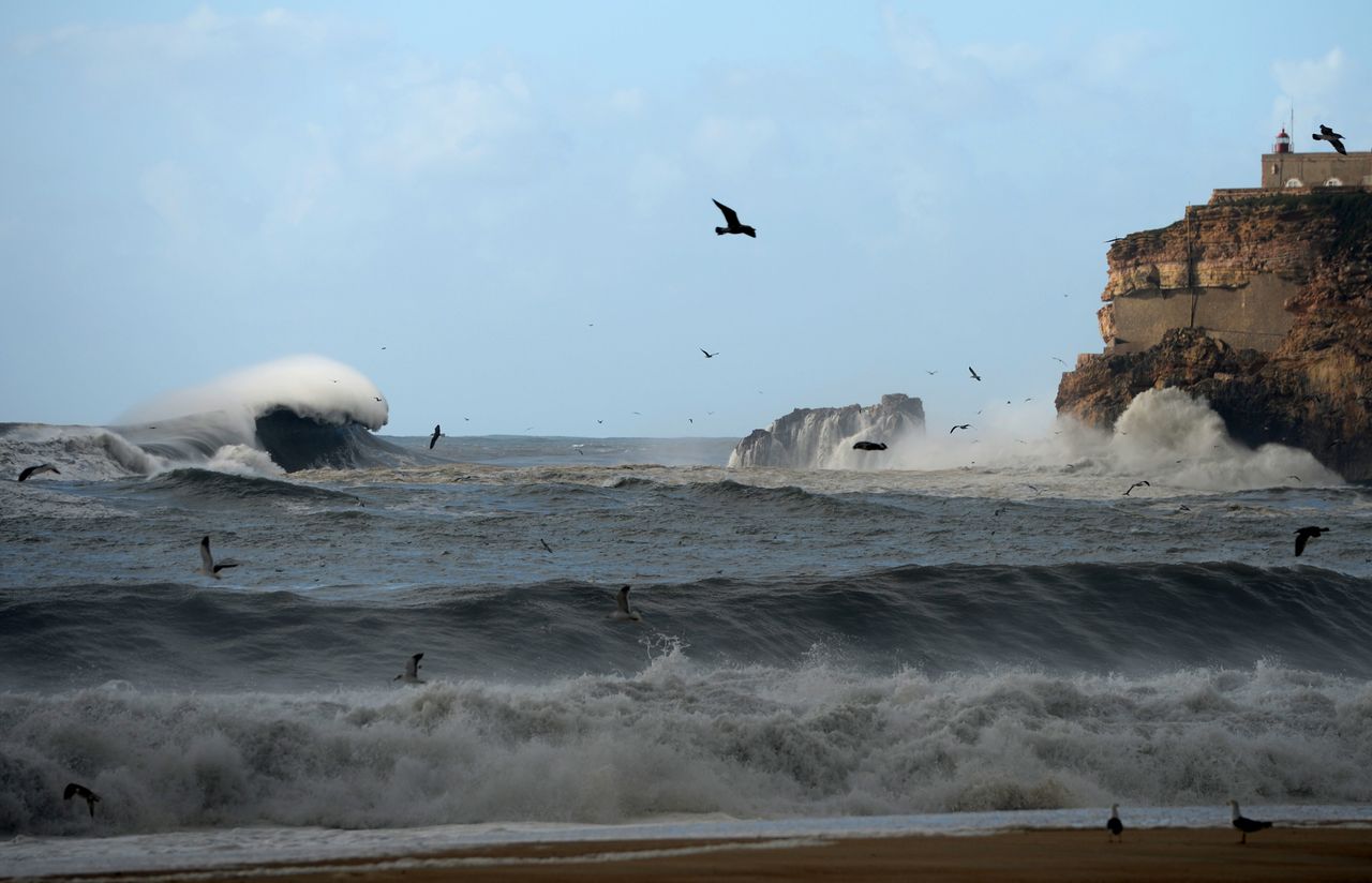 Coast of Portugal 