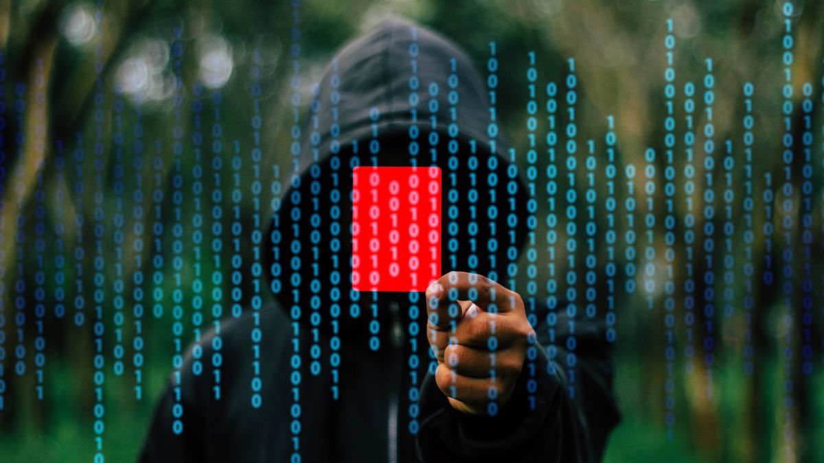 Dangerous new cybercrime gang attacks government and military targets