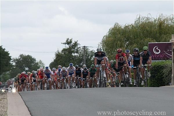 The bunch