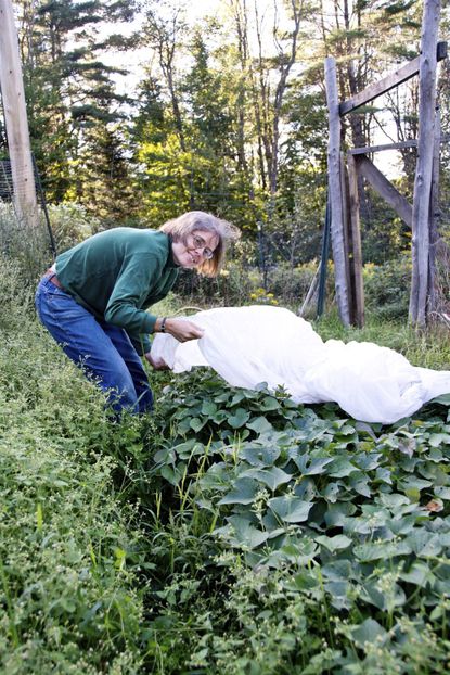 Person Covering Plants With A White Cover