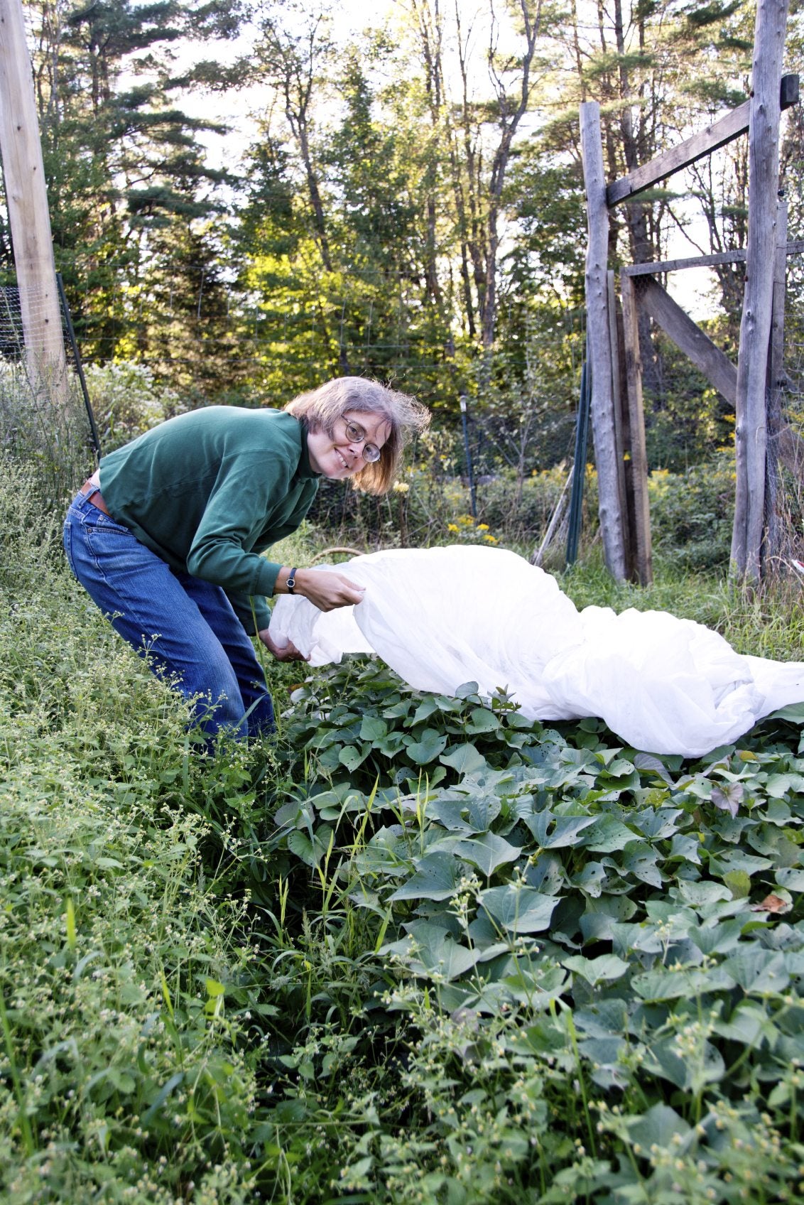 Heavy Duty Thick Fleece - Plant Protection - Garden Health