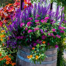 big garden pot in small yard with lots of plants