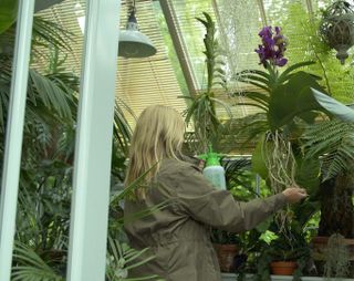 Jo Mansfield in her greenhouse