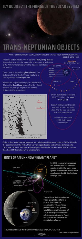 Astronomers are discovering trans-Neptunian objects belonging to the Oort Cloud, the most distant region of Earth's solar system. See how the dwarf planets of Sedna and 2012 VP113 stack up in this Space.com infographic.