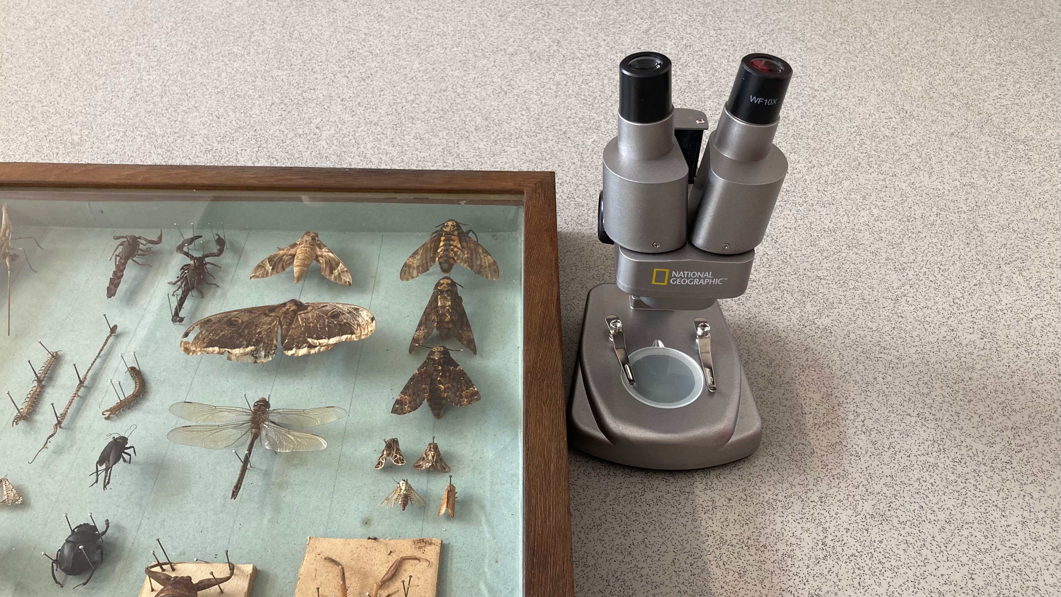 National Geographic Ultimate Dual Stereo Microscope and a box of invertabrae