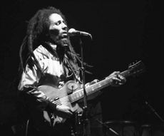 a newly discovered species of Caribbean crustacean is named after Bob Marley