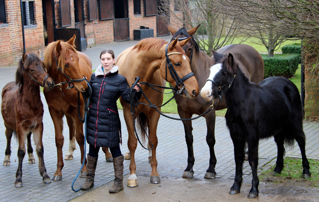020 Katherine with her horses Olaf, Garnet, Rohan, Gem and Elf