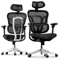 Flexispot ErgoX Max Ergonomic Office Chair Black