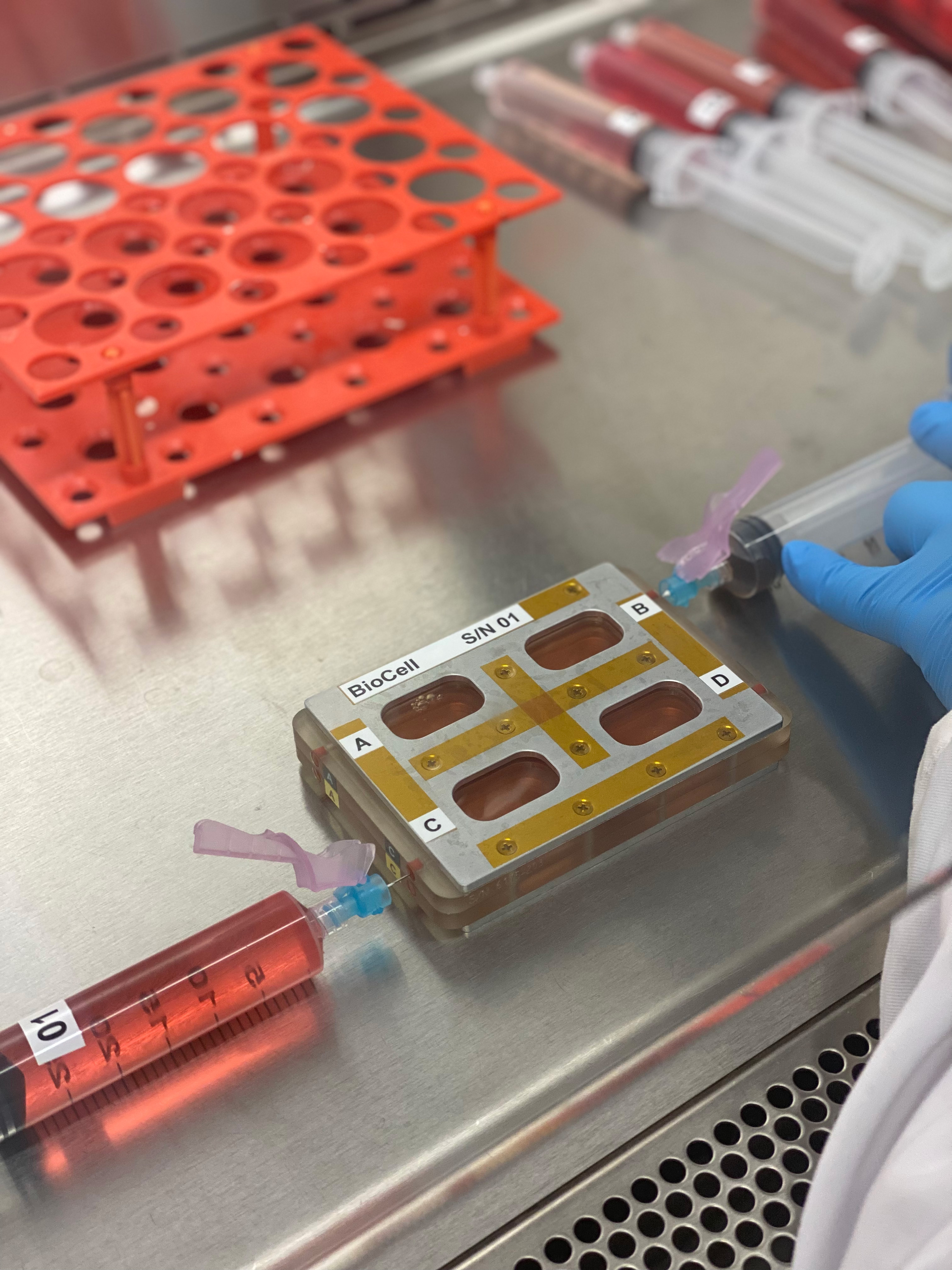 Pre-flight preparation of tissue chips for the Immunosenescence investigation, which studies the effects of microgravity on immune function to determine the mechanisms behind immune system aging.