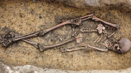 A fairly complete skeleton in a dirt grave