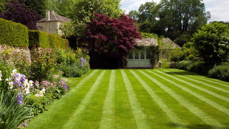 striped garden lawn