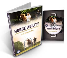 Horse_Agility.jpg