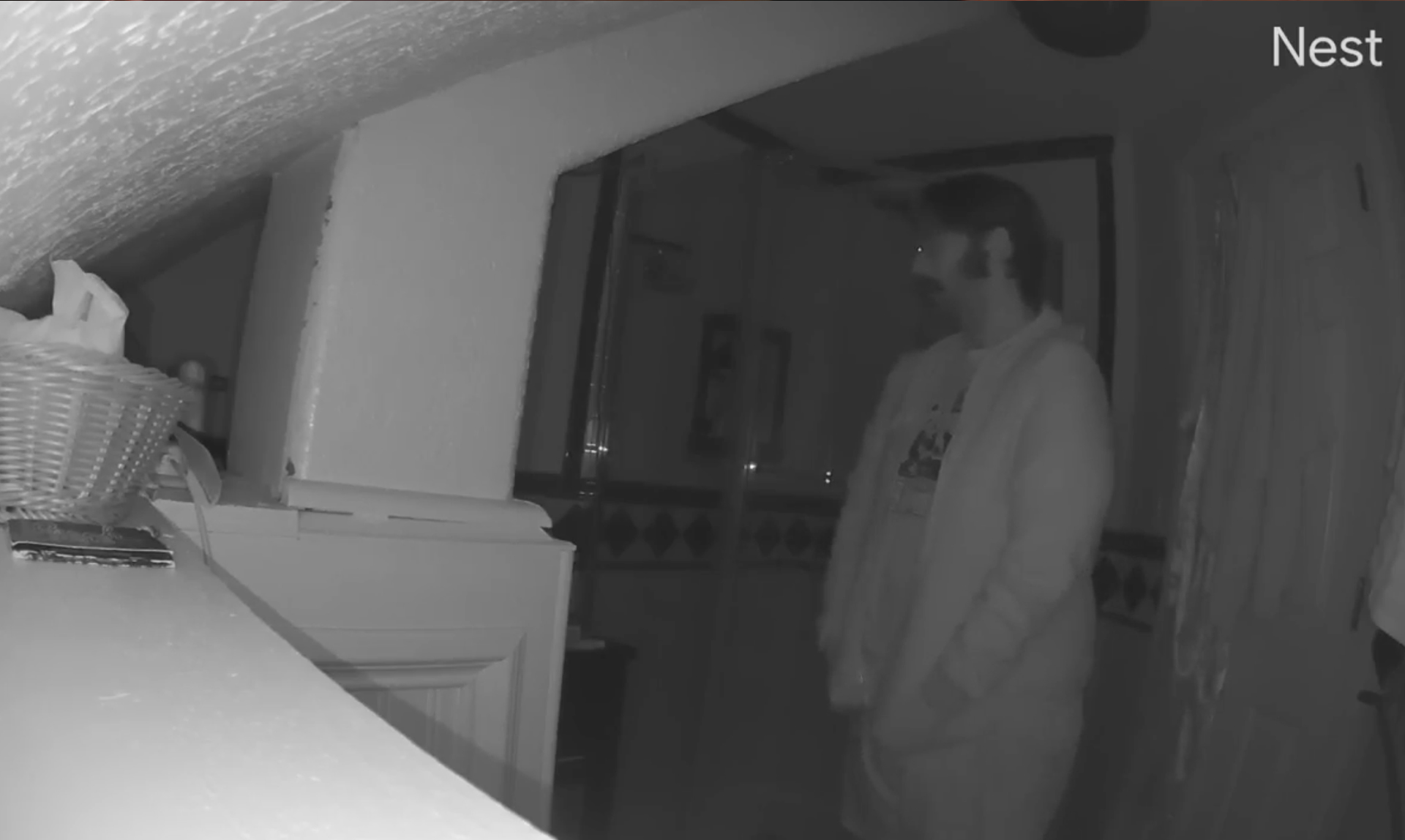 Nest Cam (indoor, wired) screen grab infrared