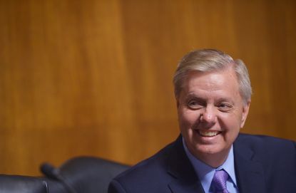 Lindsey Graham