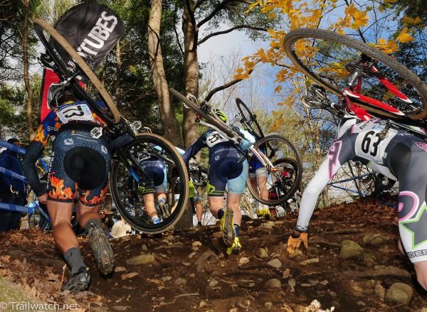 Elite Men on the run-up