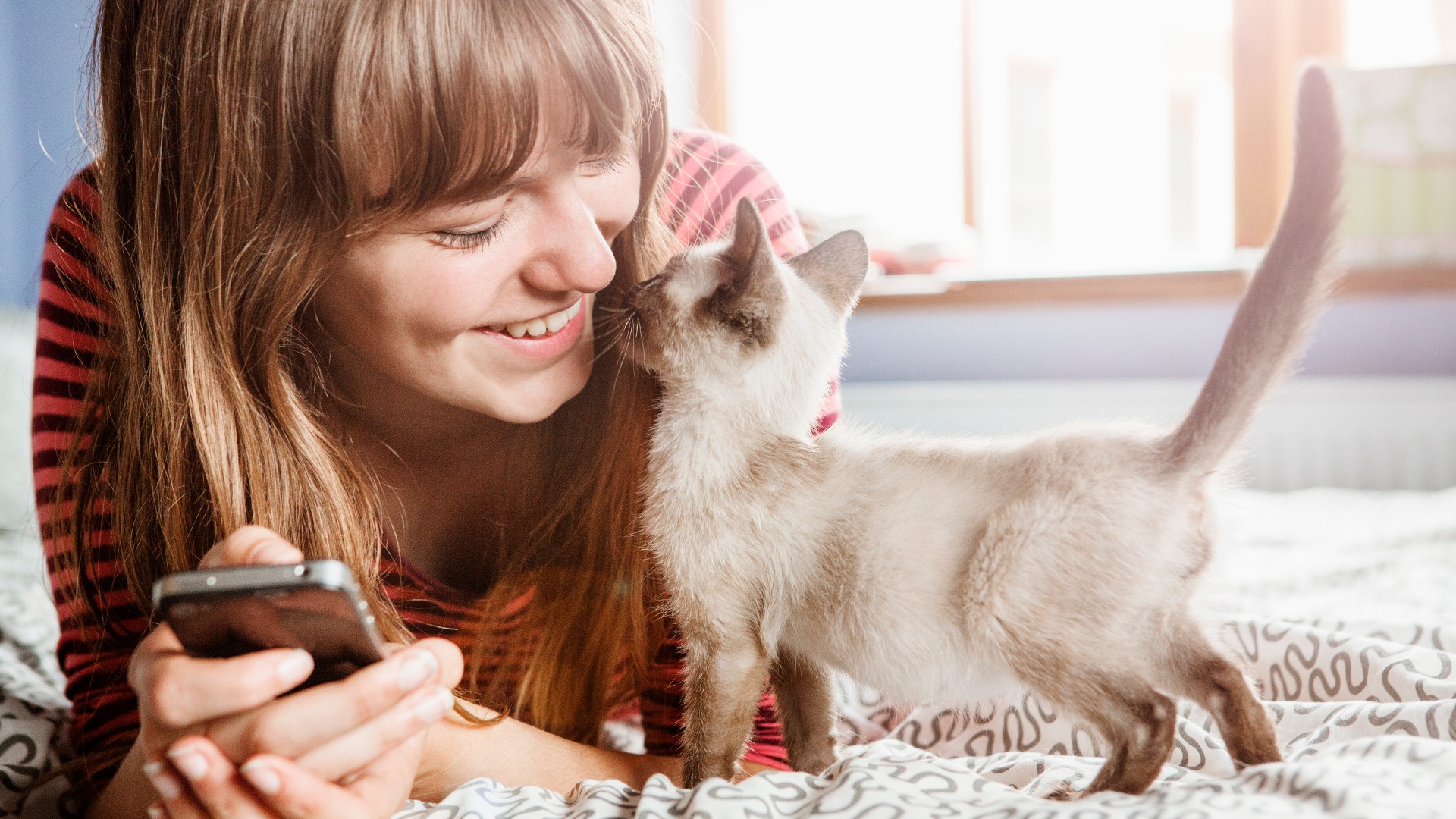 How To Know If Your Cat Loves You | PetsRadar