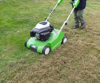 scarifying a lawn in fall