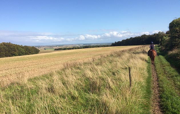 Once the basics are in place you can explore the countryside