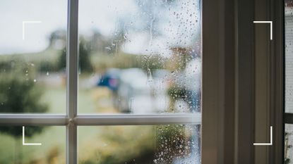 Droplets of rain sitting on the window outside, illustrating why does rain make you sleepy