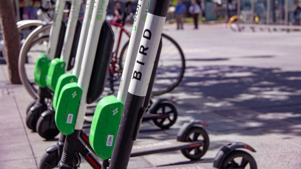 Bird electric scooters