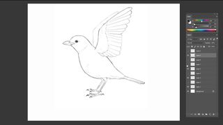 Pencil sketch of a bird about to take flight