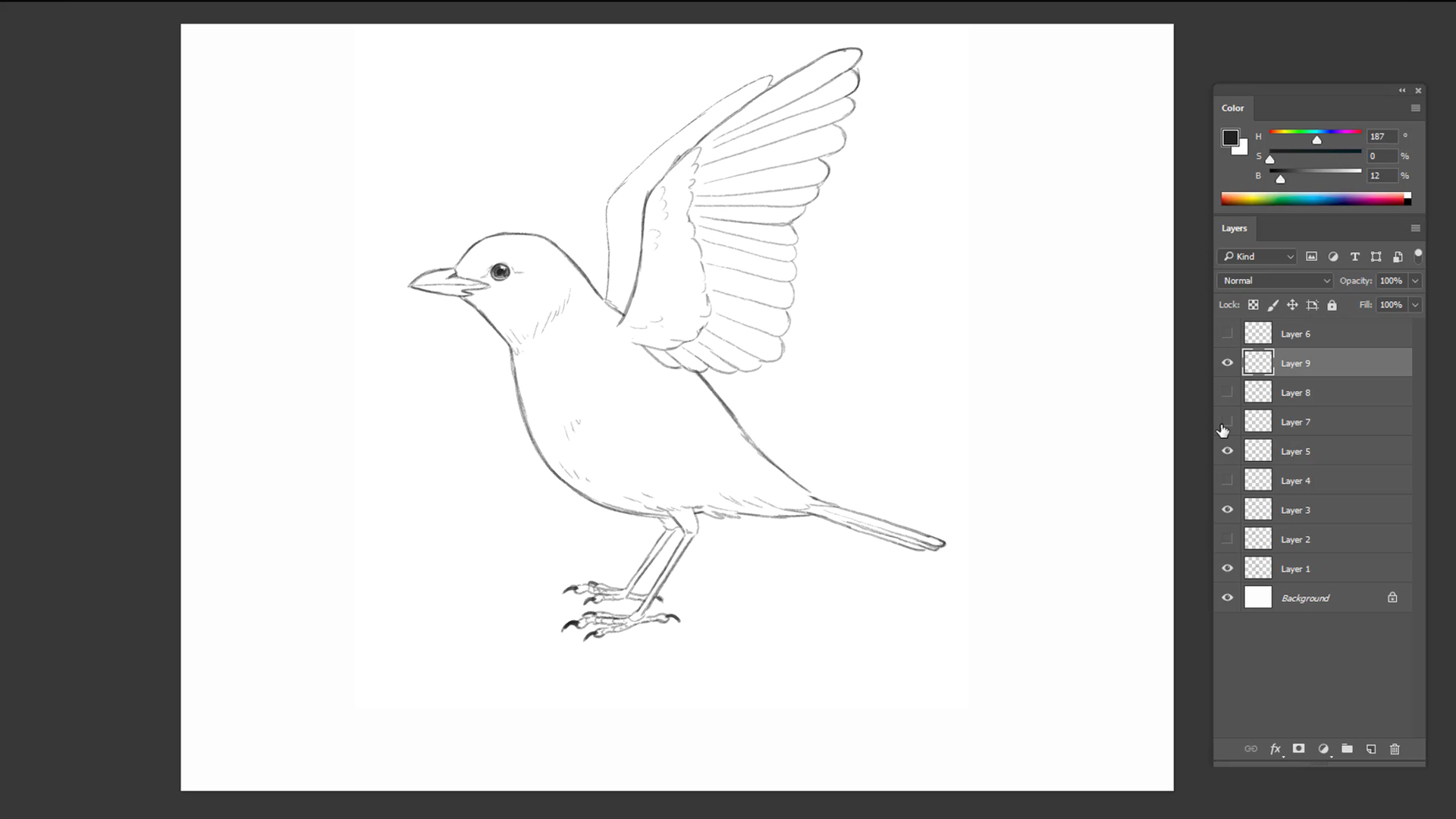 Pencil sketch of a bird about to take flight