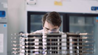 A researcher working in the lab